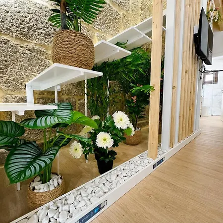 Unetti Oasis Dream House Apartamento *
