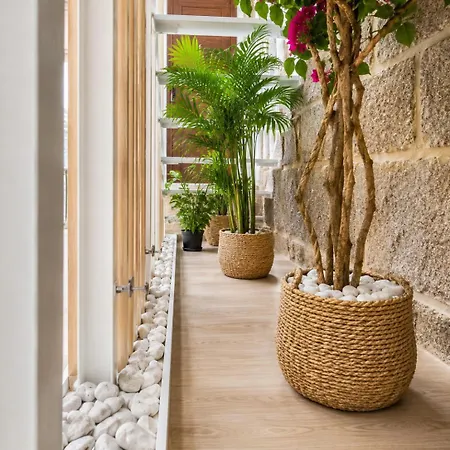 Unetti Oasis Dream House * Vigo