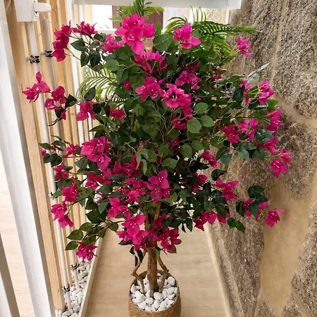Unetti Oasis Dream House * فيجو